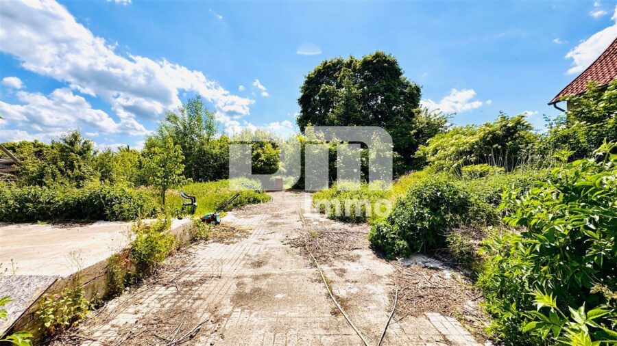 Saniertes Fachwerkhaus mit neuem Dach mit Nebengebäude + PV Anlage auf großem Grundstück - Hof / Gartenbereich